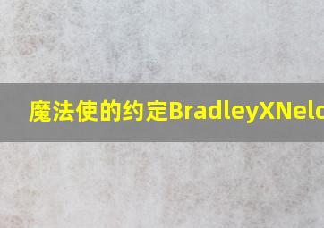 魔法使的约定BradleyXNelo CP